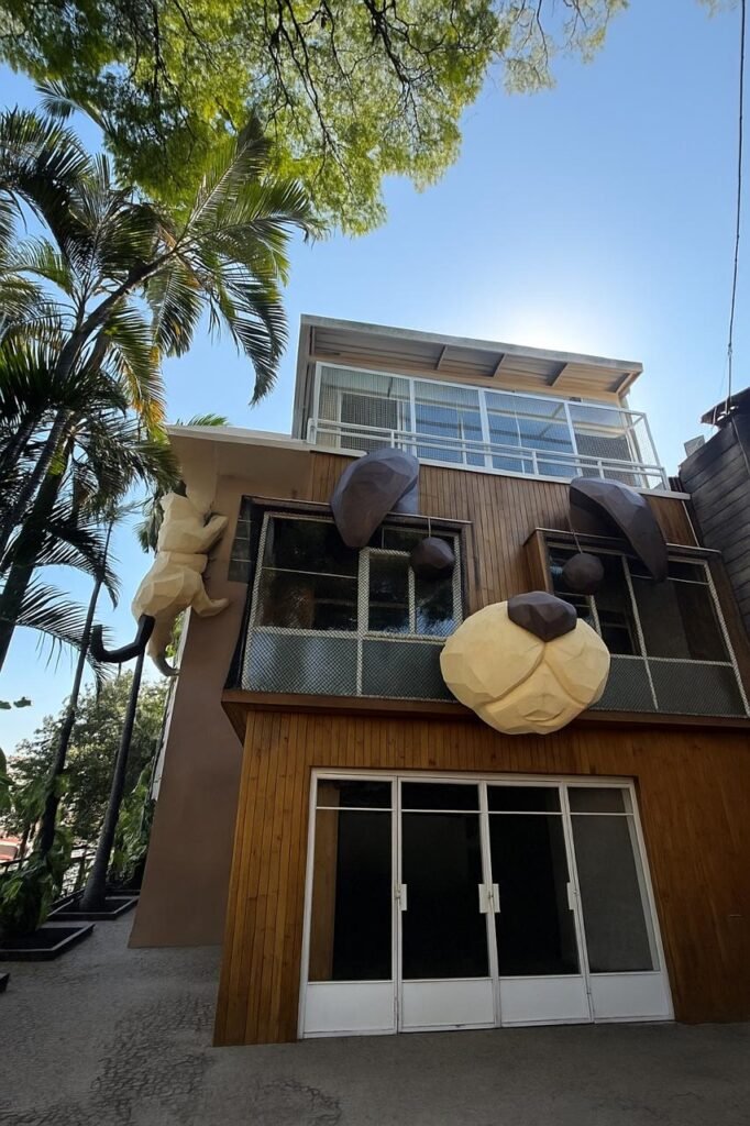 CasAdote São Pauloadoção responsáveladoção de cães e gatos