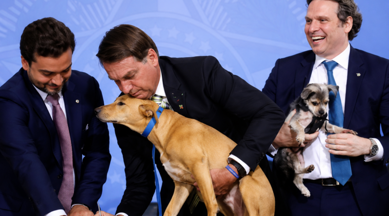 3 pessoas a assinarem um documento com um cão em cima da mesa